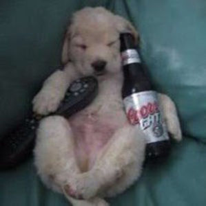 Meet your Posher, Tots